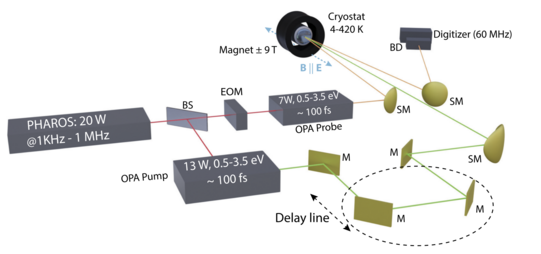 Setup for time-resolved magneto-optical spectroscopy.