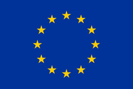 European flag.