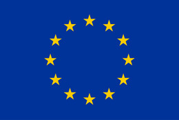 European flag.