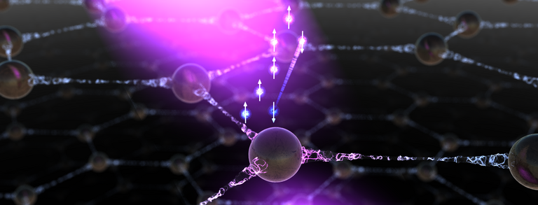 Coherent spin phenomena in solids